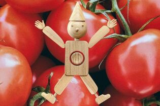 Grafika przedstawia drewnianego pajacyka na tle dojrzałych pomidorów.