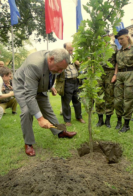 Dla upamiętnienia 90. rocznicy Czynu Legionowego Prezydent Miasta Krakowa Jacek Majchrowski zasadził na skwerze przed magistrate