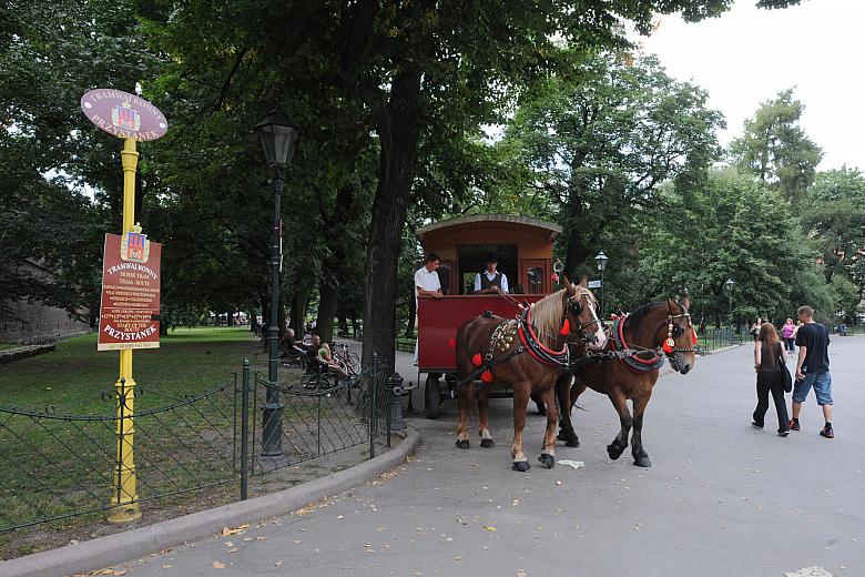 Bilet kosztuje tylko 25 złotych. Za tę cenę pasażerowie mają nieporównywalne wrażenia, jakie zostaną im po spokojnej przejażdzce