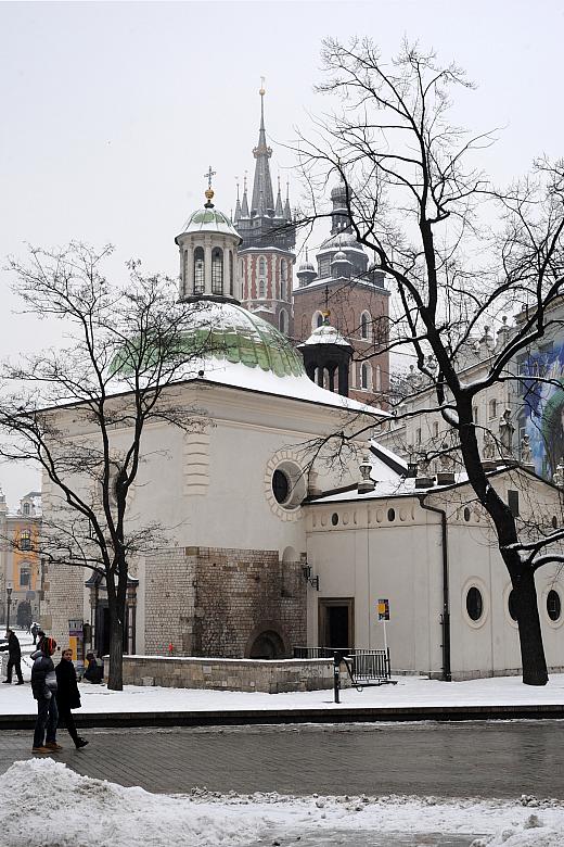 Czerń nagich gałęzi pięknie kontrastuje z bielą śnieżnej pierzyny.