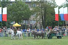 Flagi polskie i flagi miasta Krakowa przypominają, że ważne są obie ojczyzny, zarówno ta Wielka, jak i ta mała.