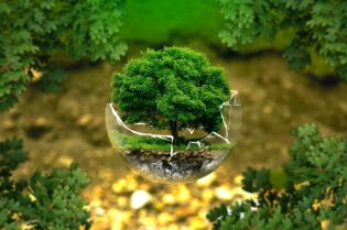 Grafika przedstawia drzewo zasadzone w szklanej kuli.